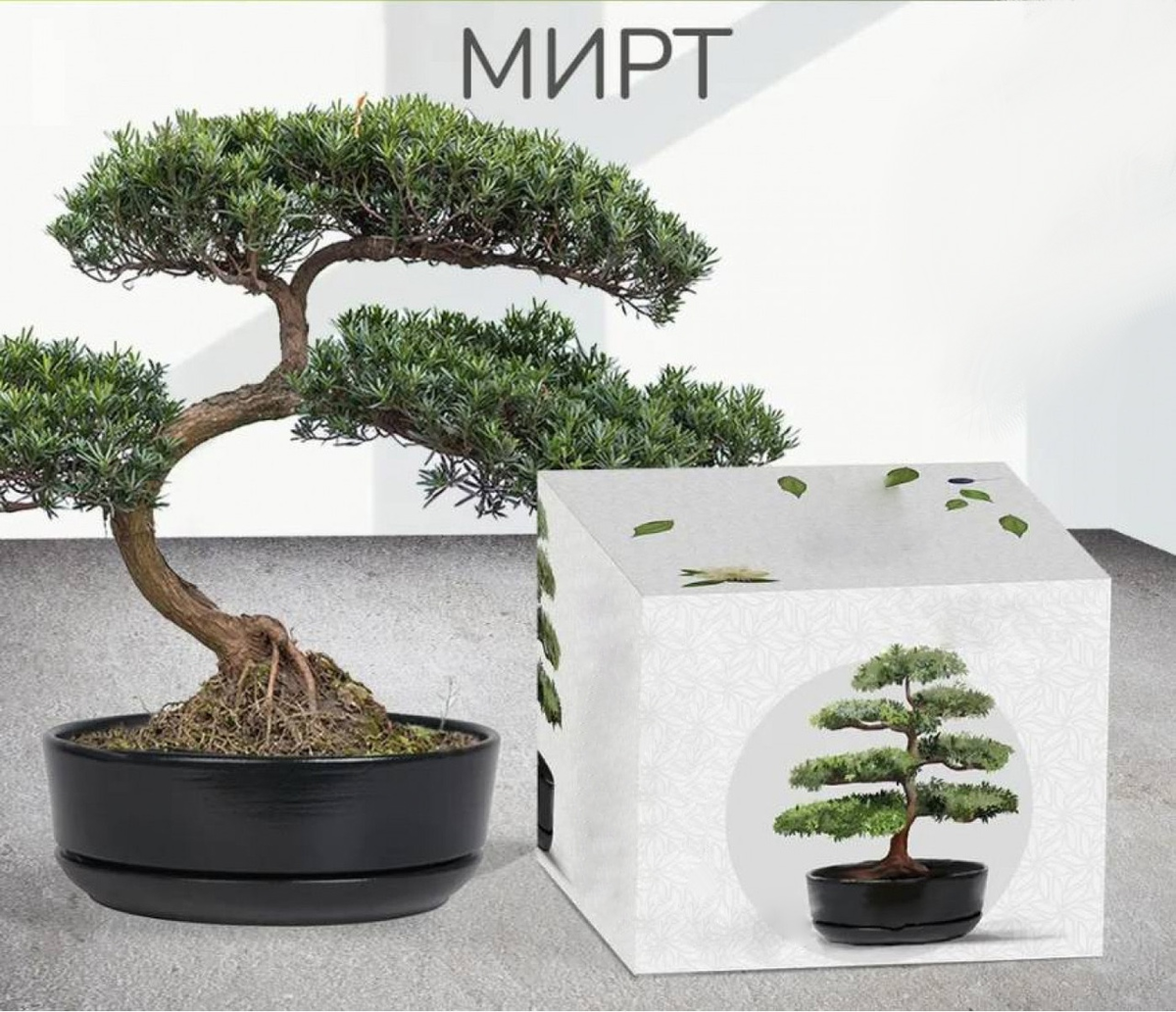 Примеры наборов