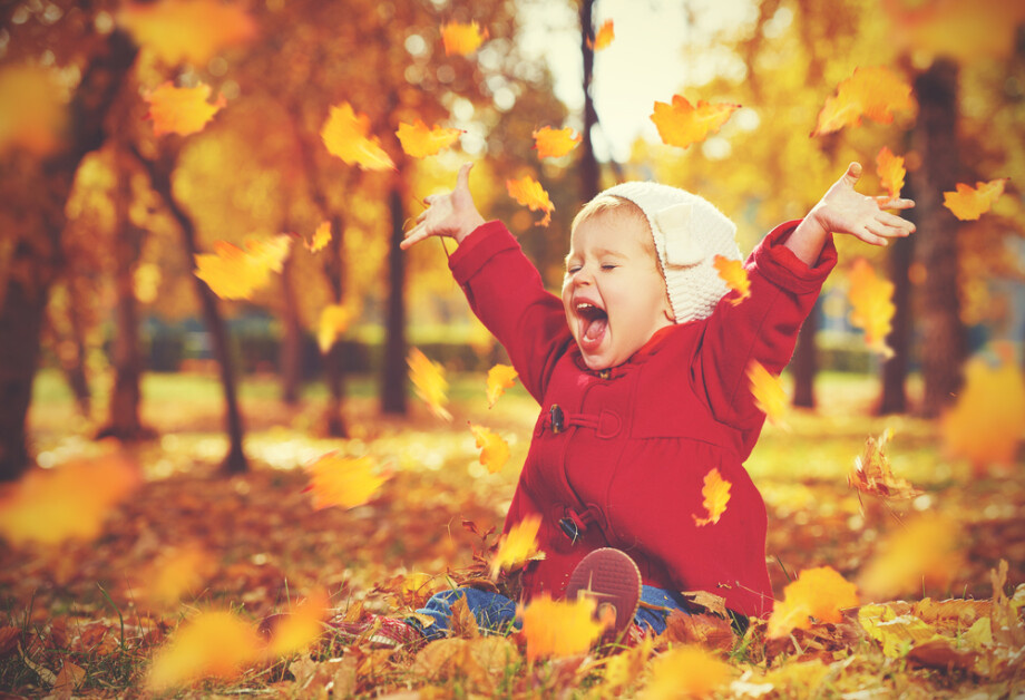 Фото: Shutterstock/FOTODOM