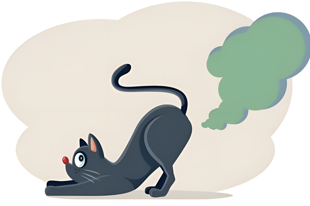 Пукают ли кошки