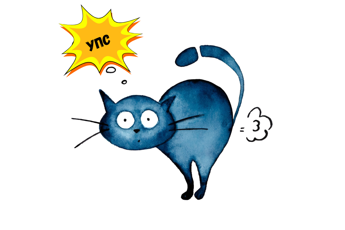 Почему кошка пукает 