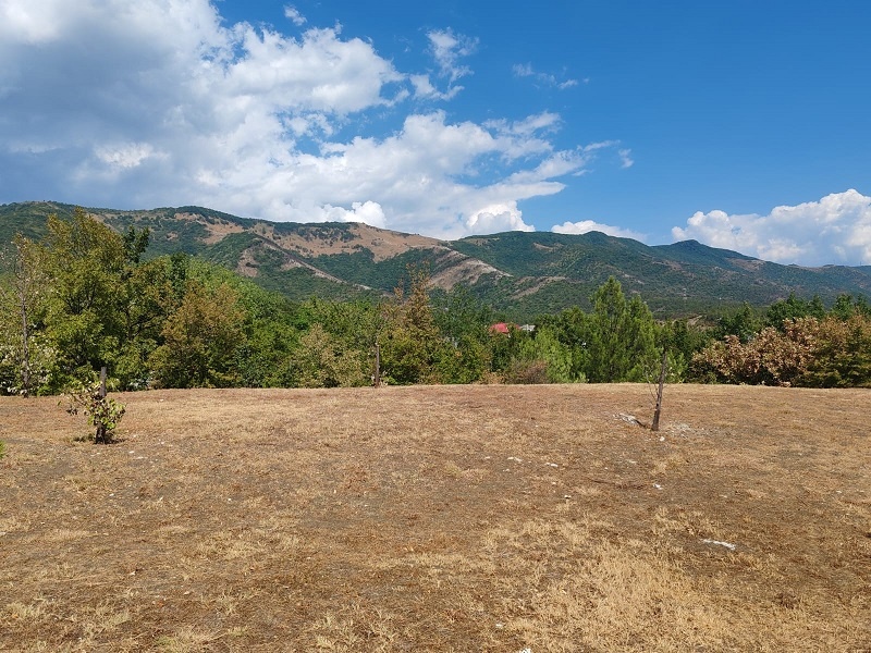 Фото Никитина Дениса