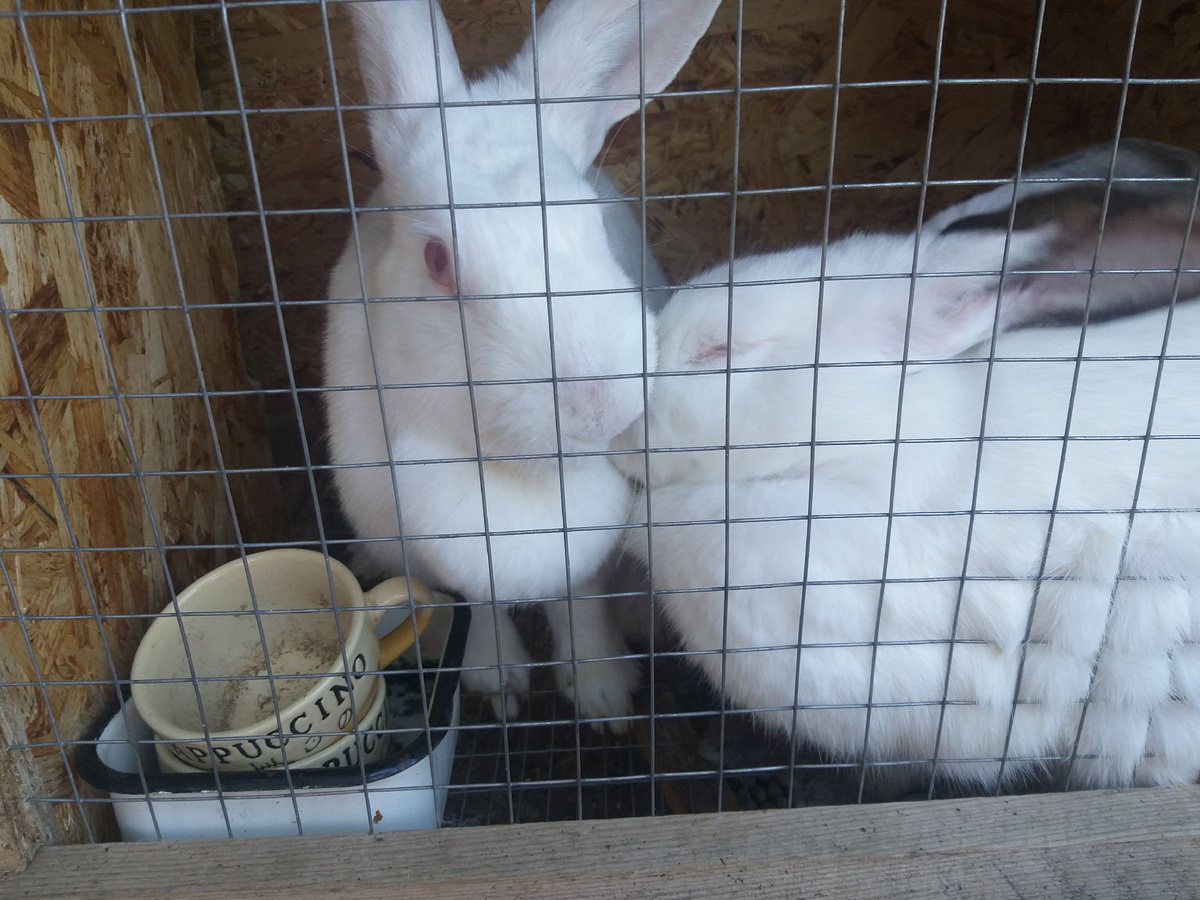 А нам хорошо!