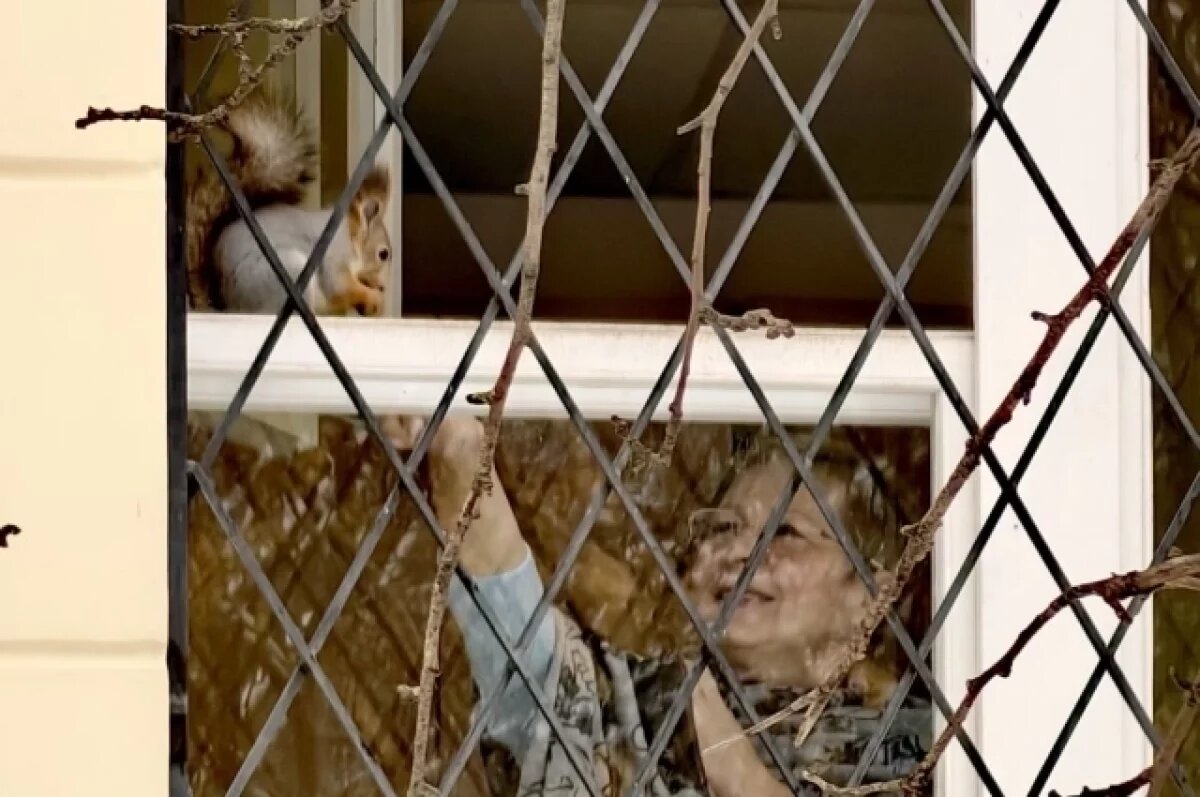    Белка станет символом Университета Лобачевского