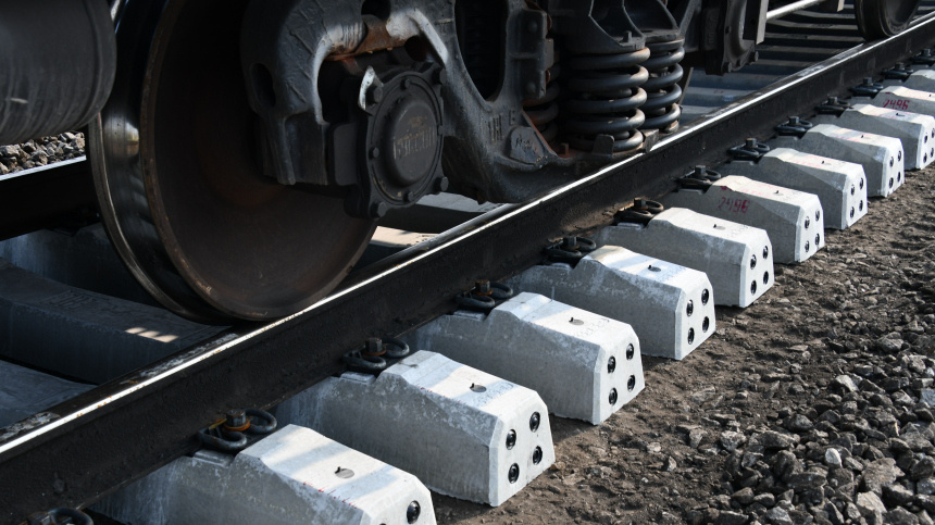    Фото: © РИА Новости/Евгений Епанчинцев; 5-tv.ru