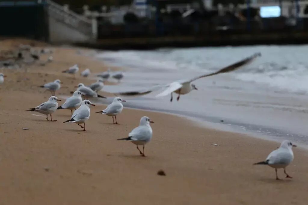 Листайте вправо, чтобы увидеть больше изображений