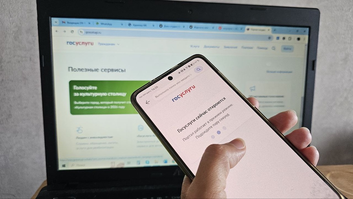 Два главных документа всегда лежат на Госуслугах. Фото: Мир Квартир