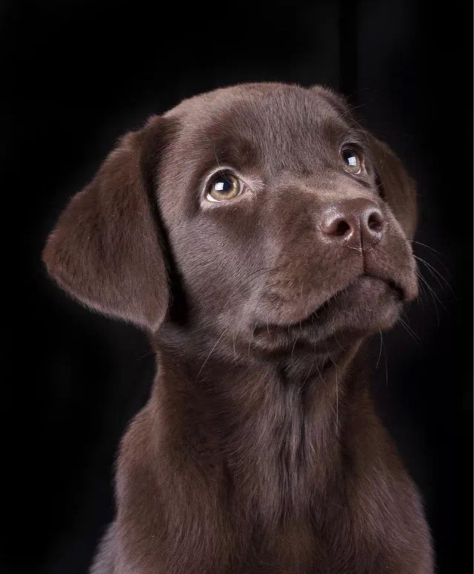 Яндекс.картинки для обложки