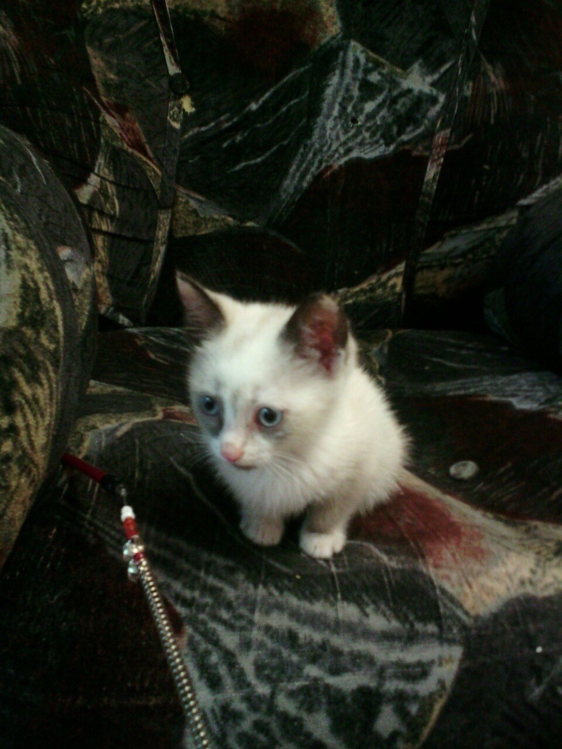 такой крохой Алсу к нам приехала