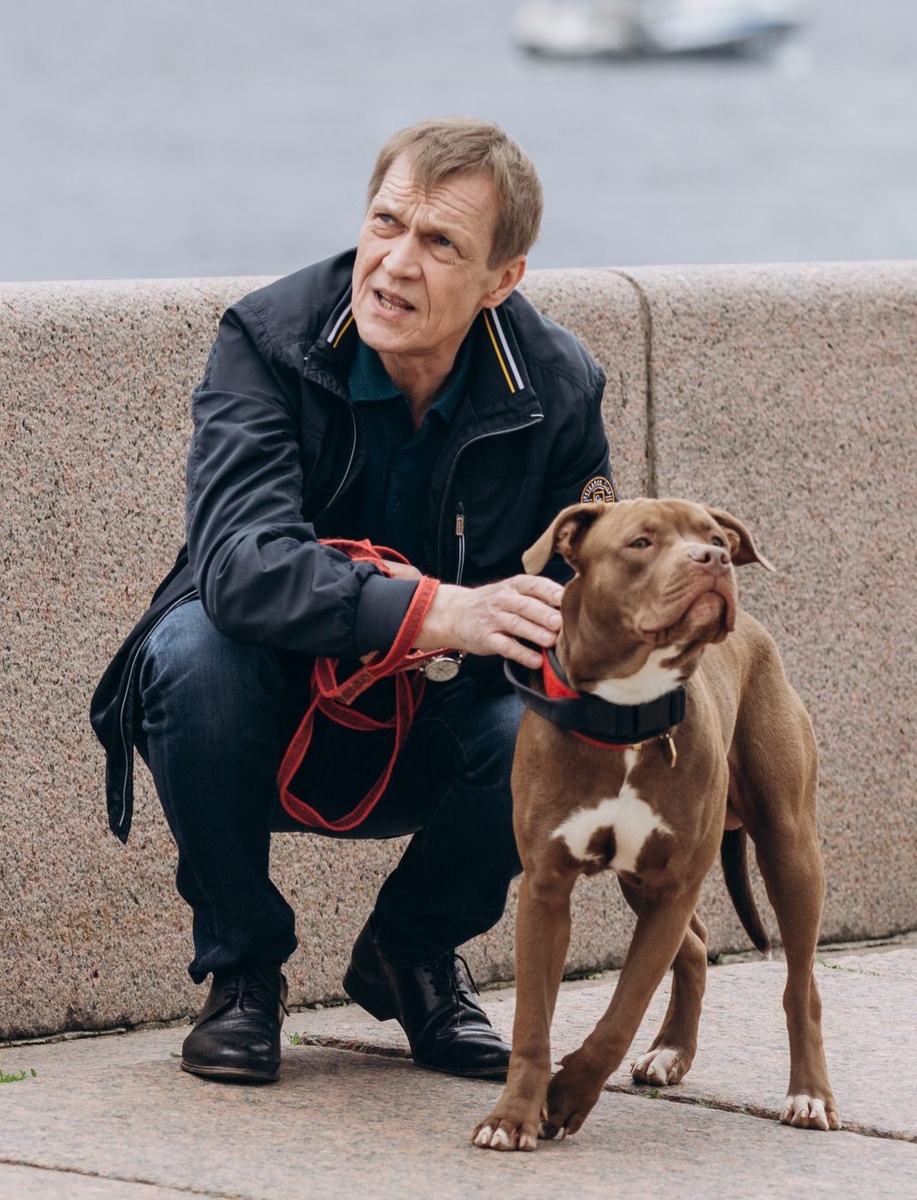 Открытые источники 