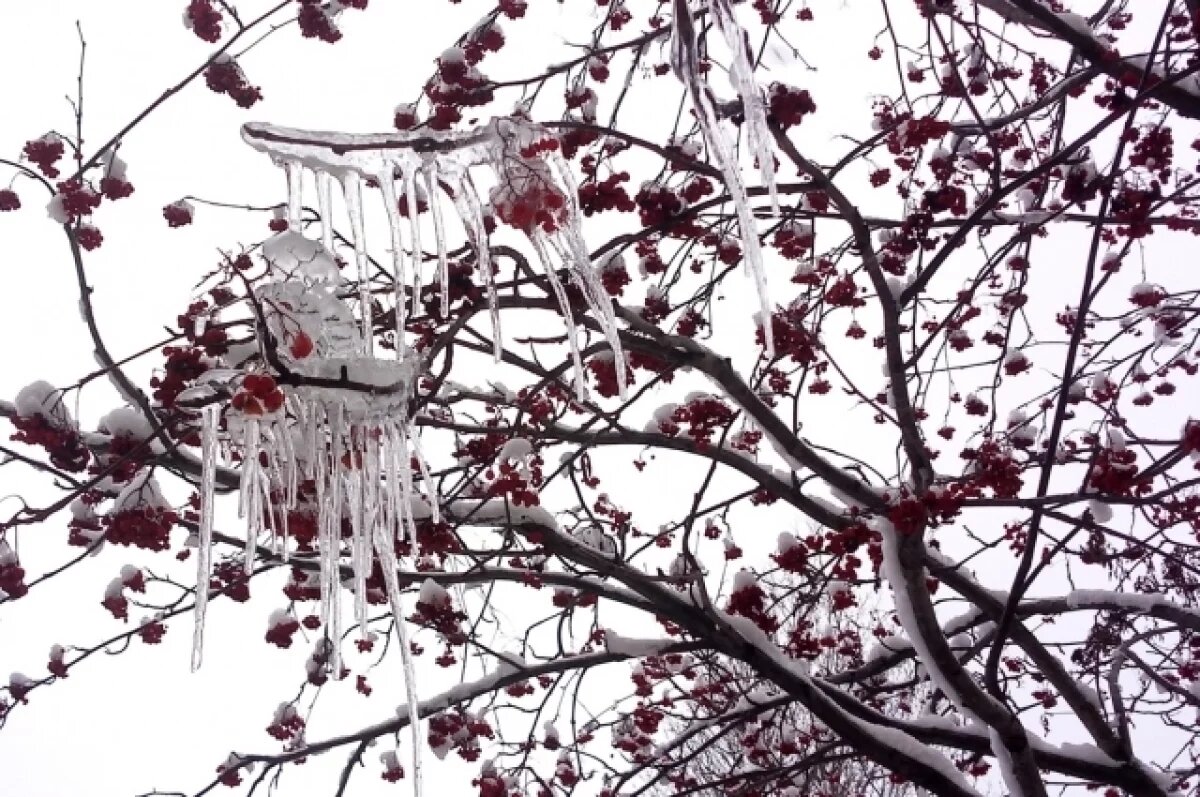    Осадки ожидаются слабой интенсивности, затем пройдёт оттепель