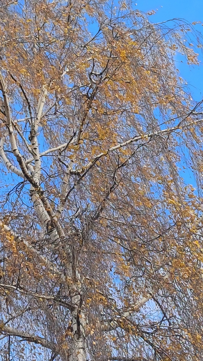 Фото автора Т. Федотовой