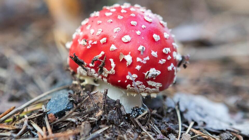 Фото: © РИА Новости/Илья Тимин