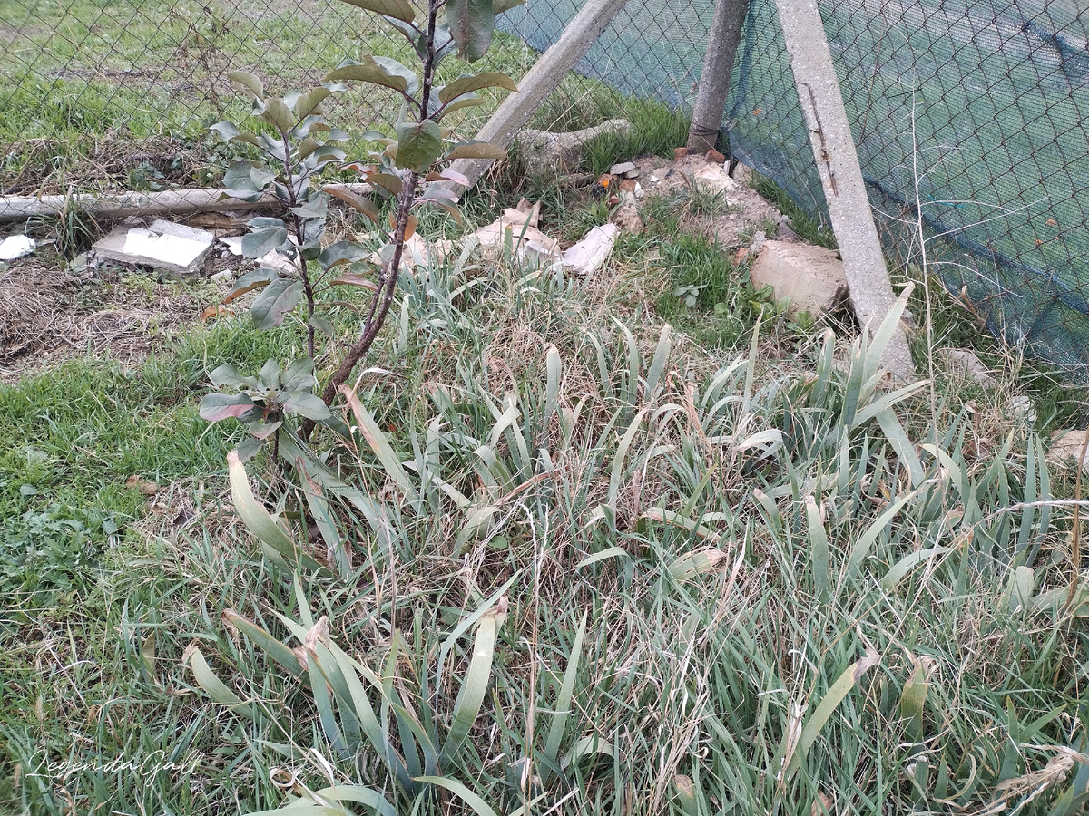 Вот так было