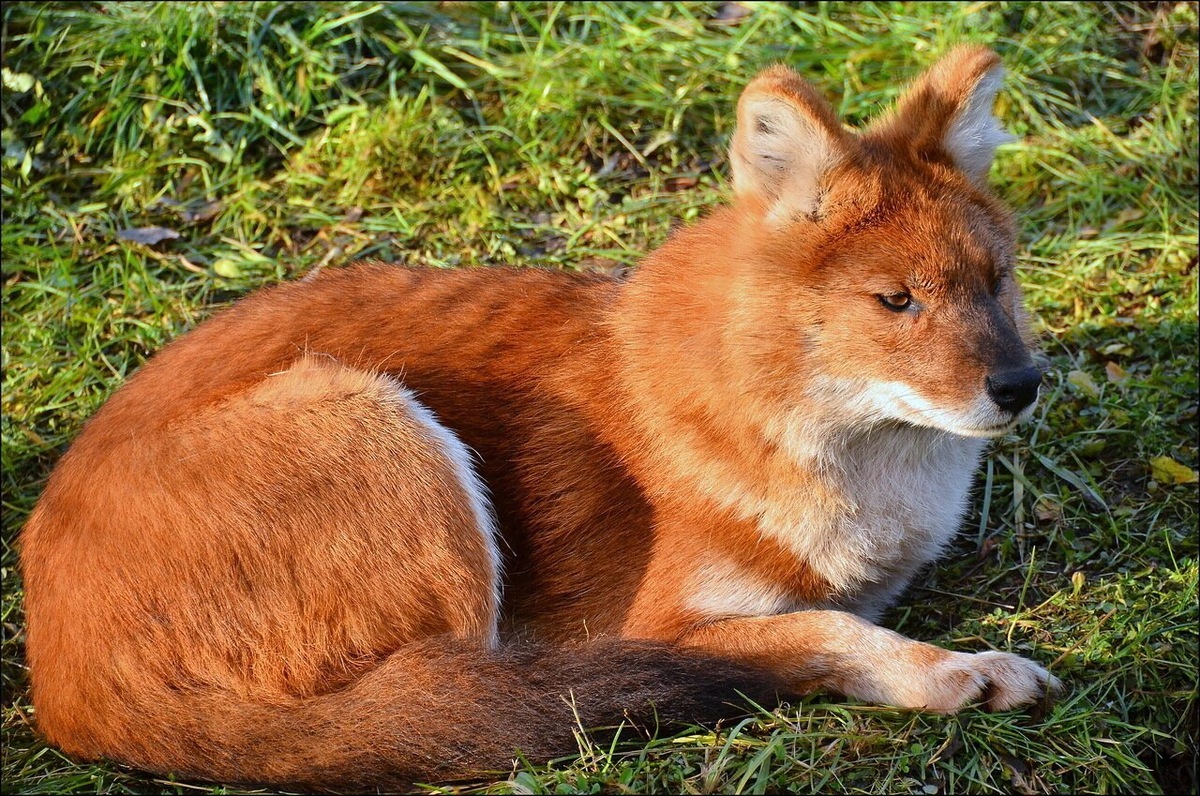 Фото взято из открытого источника Яндекс Картинки.