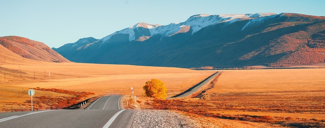 ©Olga Gavrilova/Shutterstock