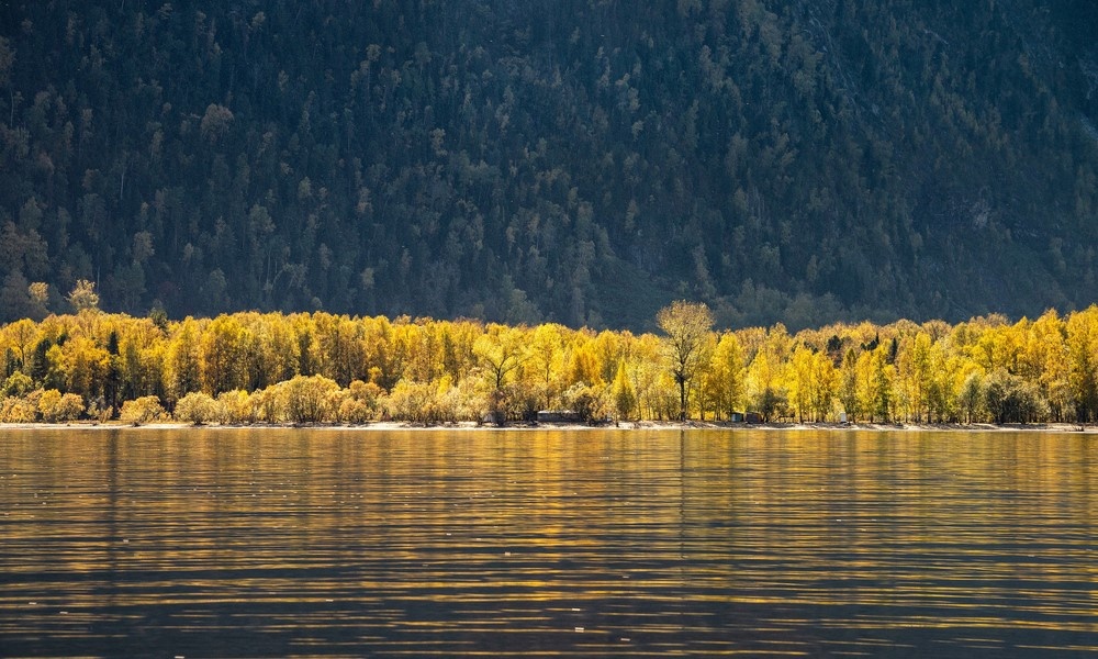 ©Max Rewinski/Shutterstock