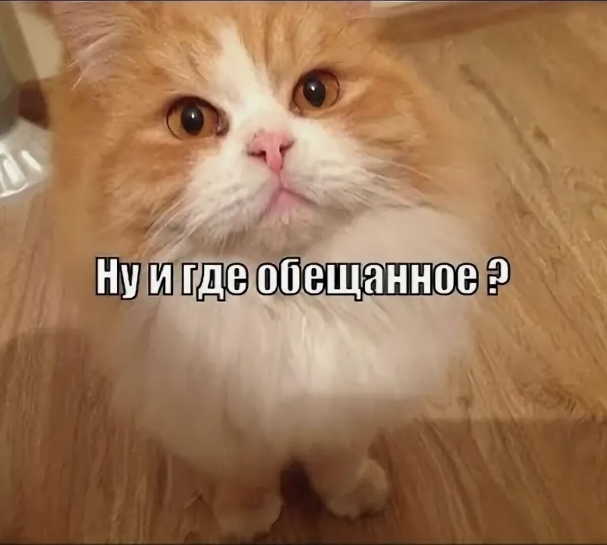 источник Яндекс-картинки