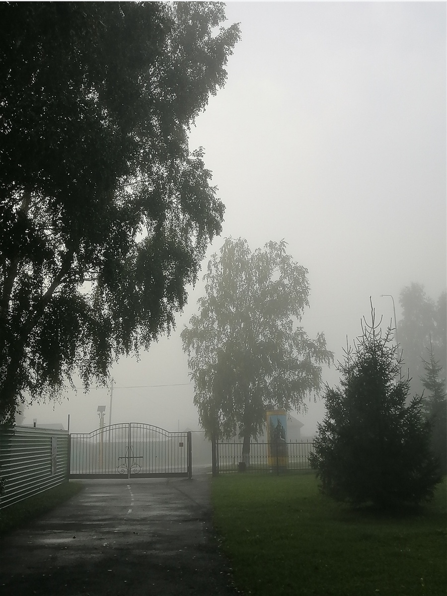 около школы