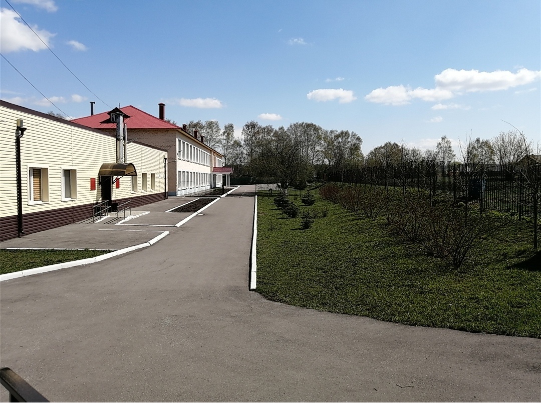 школьная территория (после субботников)