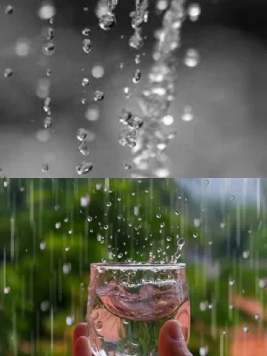 Фотоколлаж автора статьи 