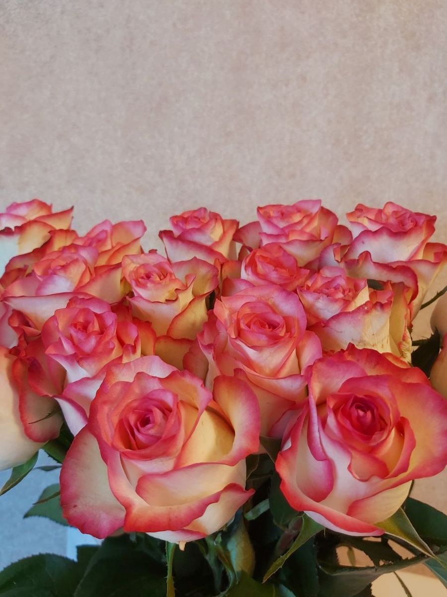 БЛАГОСЛОВИТЕ ЖЕНЩИНУ - женский журнал 