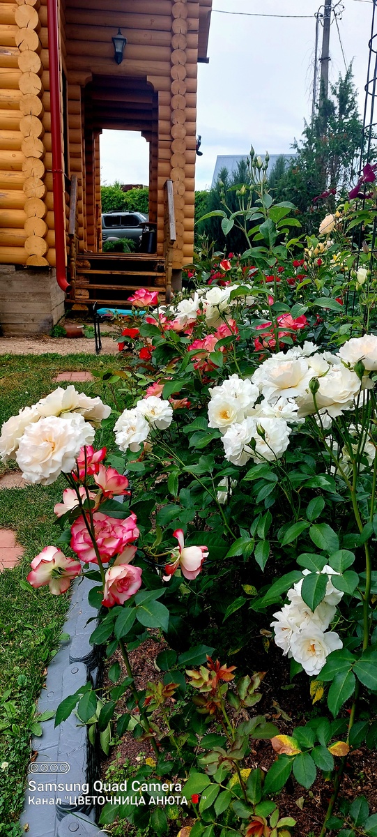 Июль. Просто июль)