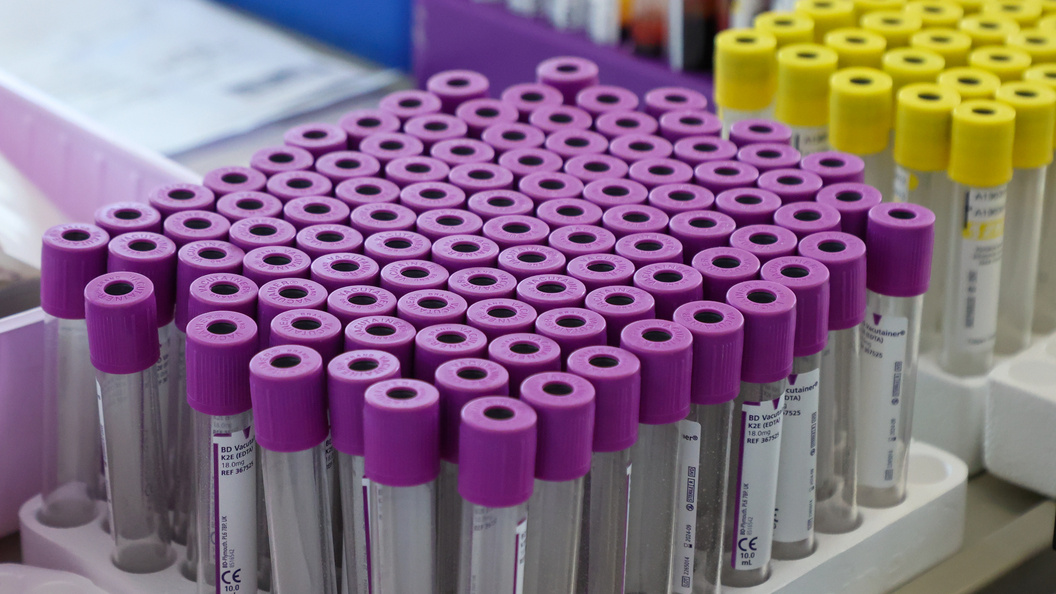    Фото: Petrov Sergey/news.ru/Globallookpress