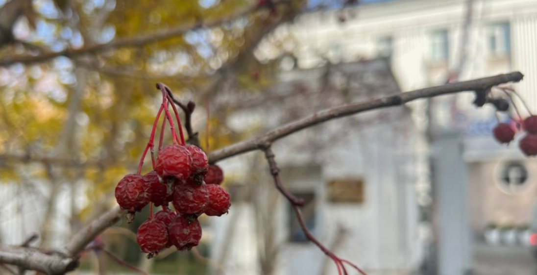 Народные приметы на 7 ноября 2024 года