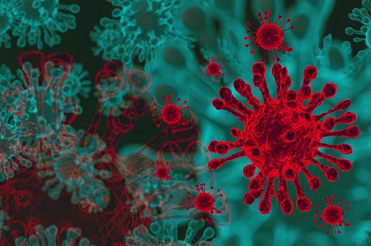    Вирусолог Нетесов: поводов для паники из-за вируса Коксаки у россиян нет