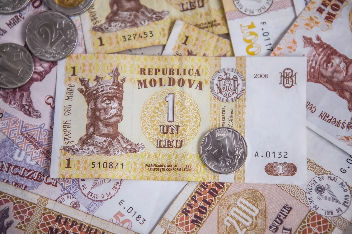 Фото: © Sputnik / Yana Zaharova