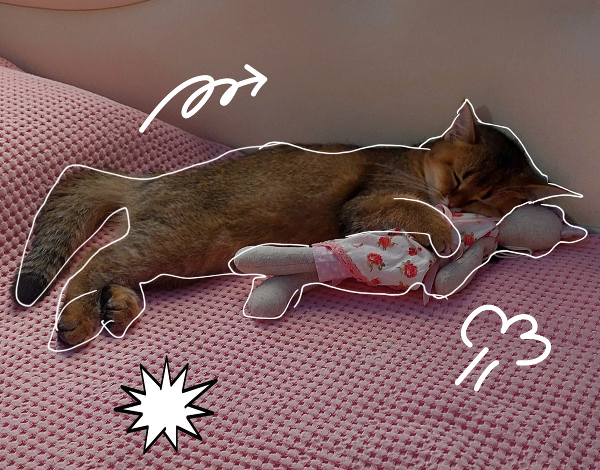 Просто няшка:)