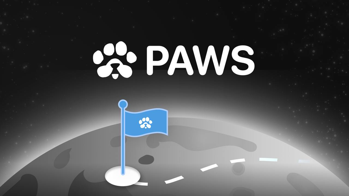                                 *Изображение взято из Telegram канала PAWS Community*