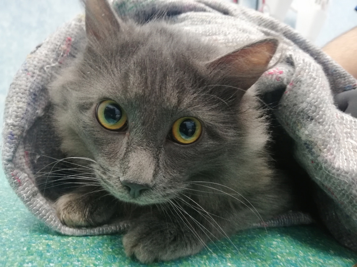 Только поймали