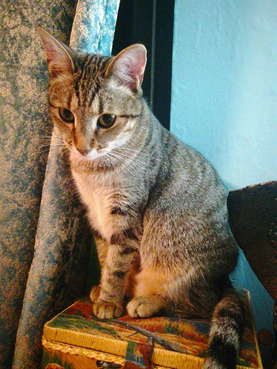 Та самая Саня. Когда уже дома)