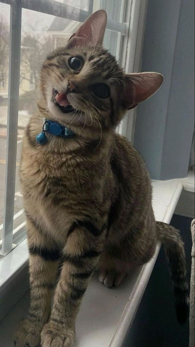 фотография из интернета