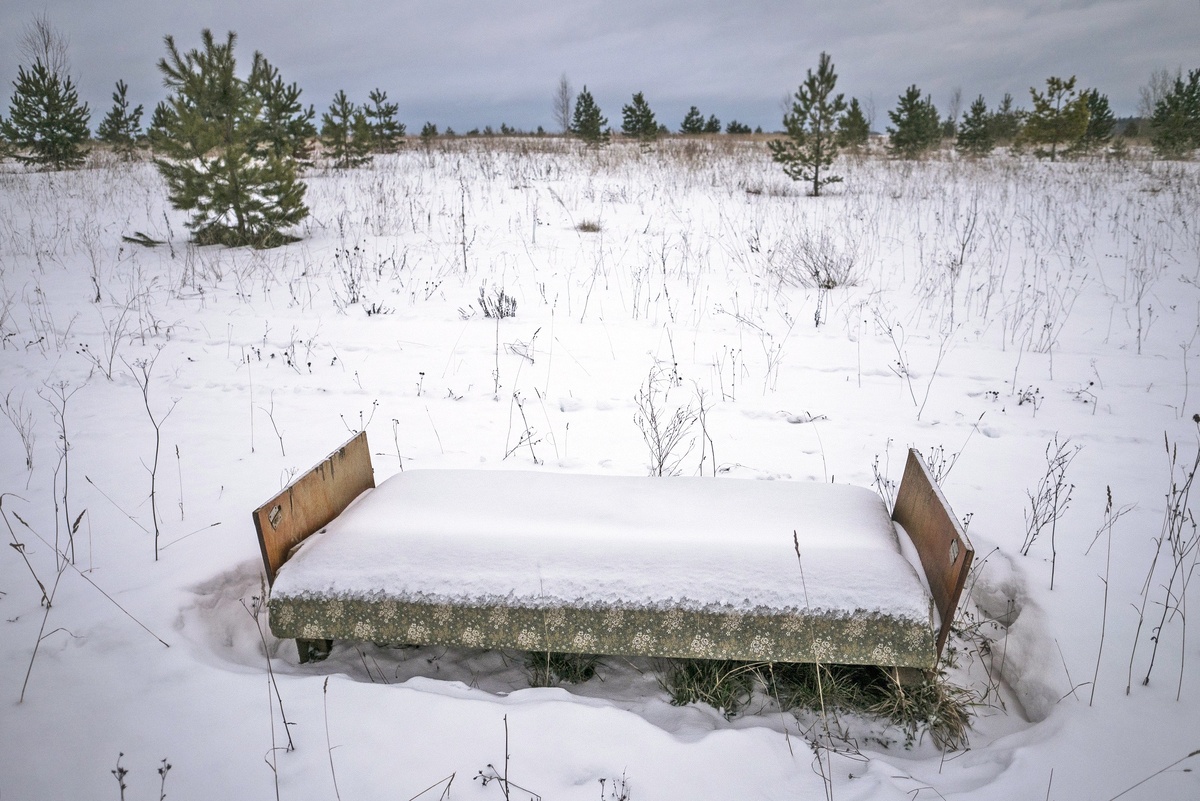    Норму, по которой у хозяев участка, который долго не обихаживали, могли его забрать, скорректируют. / Сергей Михеев