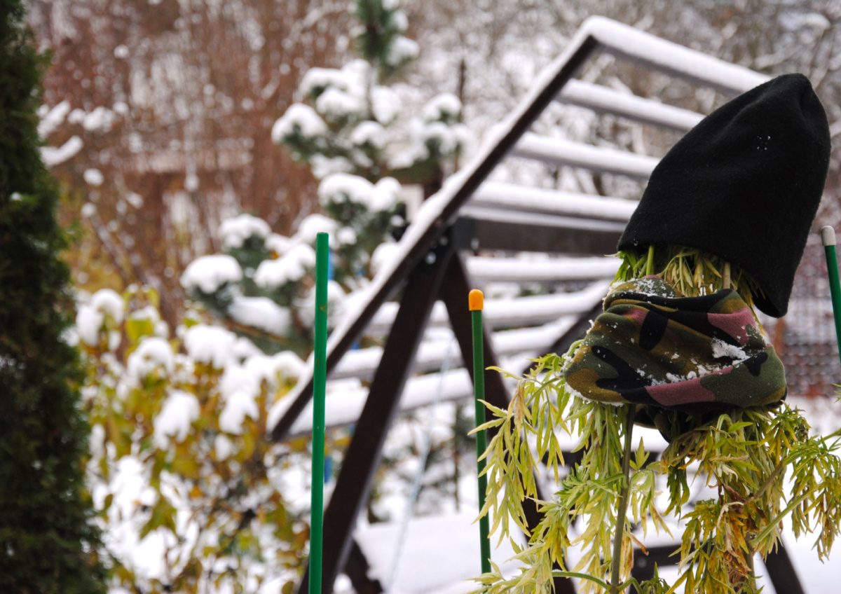 Что?! Зима?! Нееее, не встречали.....