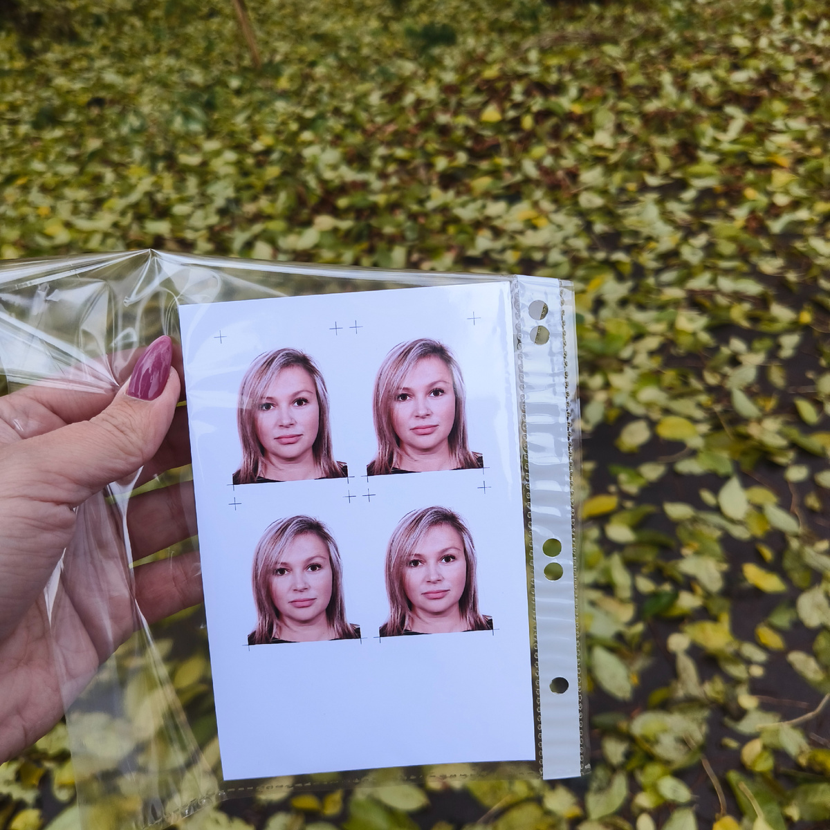 Фото автора. 