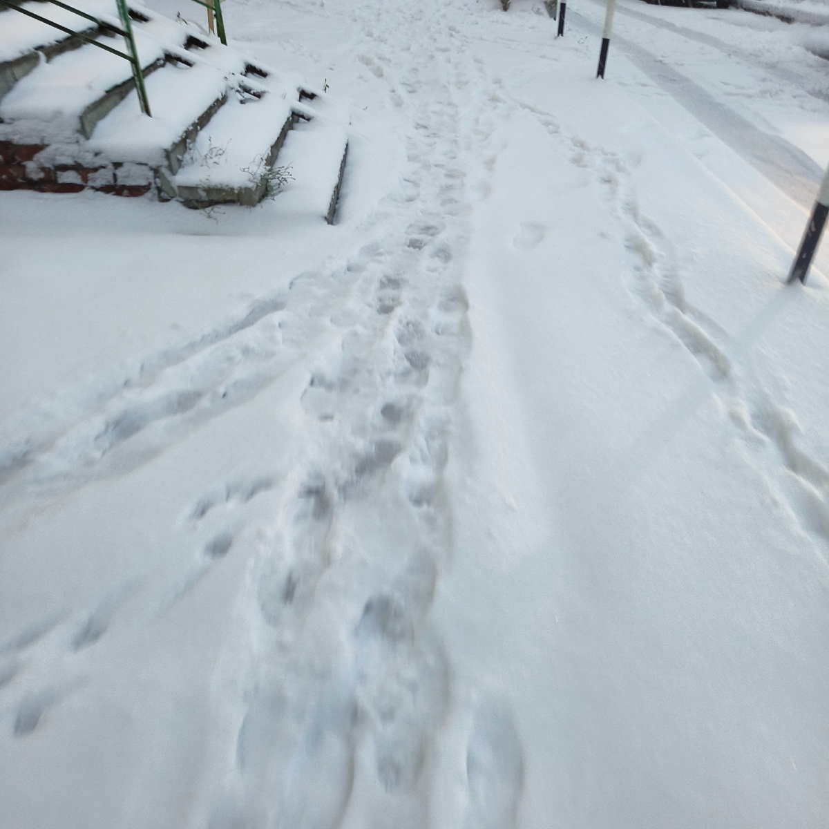 Фото автора. Снег в Самаре. 