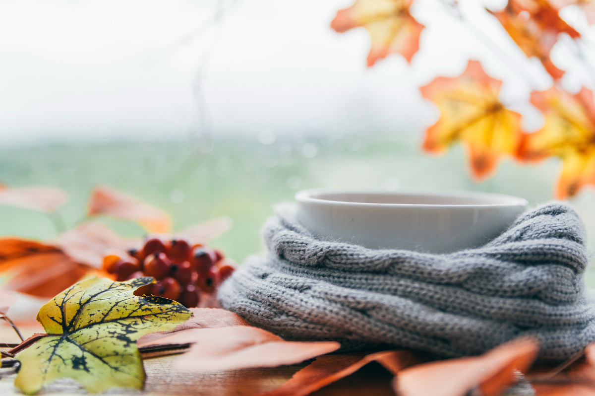 Изображение с сайта www.freepik.com