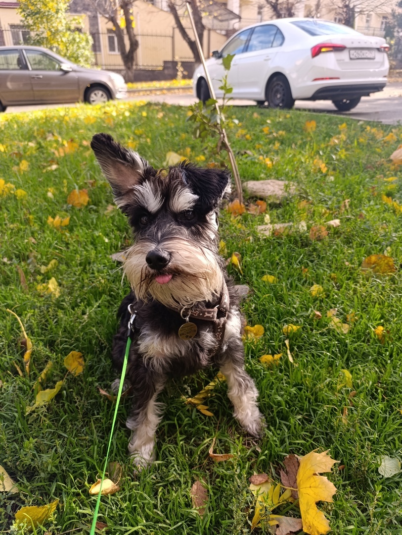 Джеська любит показывать язычок XD