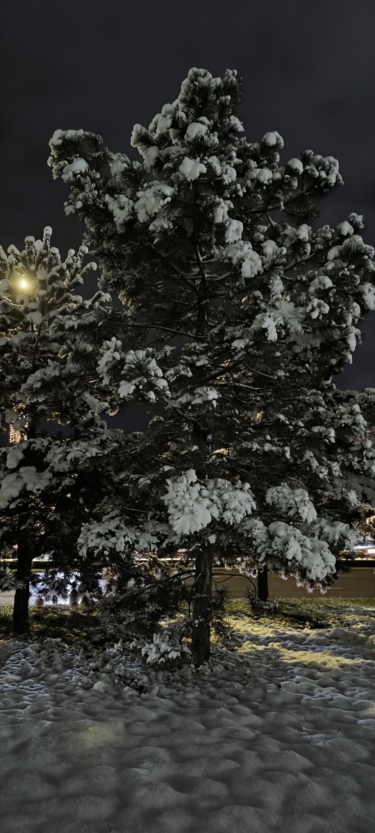 Снимок был сделан на Архонском шоссе