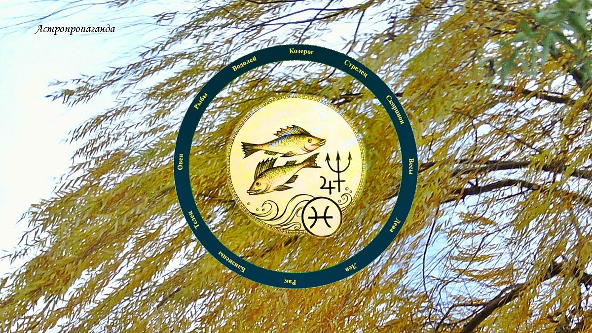 Знак Рыб: гороскоп на ноябрь 2024 | Гороскоп для Рыб с 4 ноября по 1 декабря 2024. 