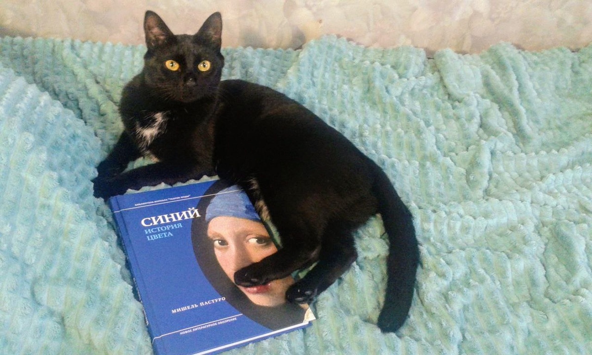 Оливка, моя любимая девочка-интеллектуал из Митинского подвала