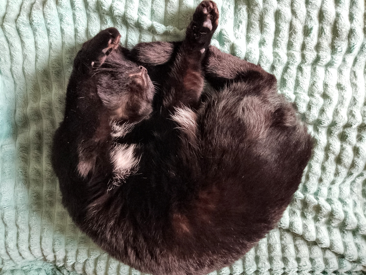 Оливка обычно очень расслабленная, но и на старуху бывает проруха