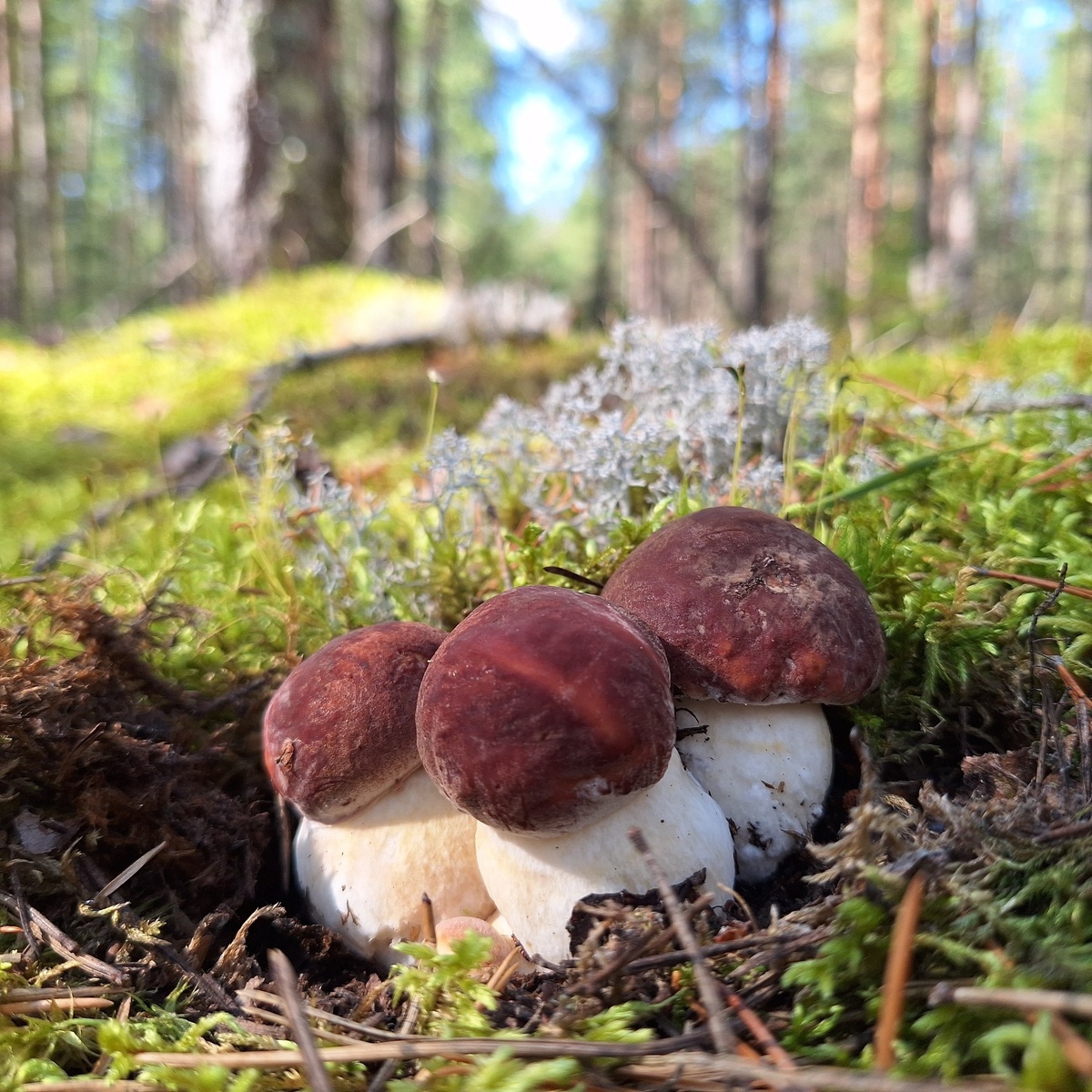 Фото Дениса Харитонова.