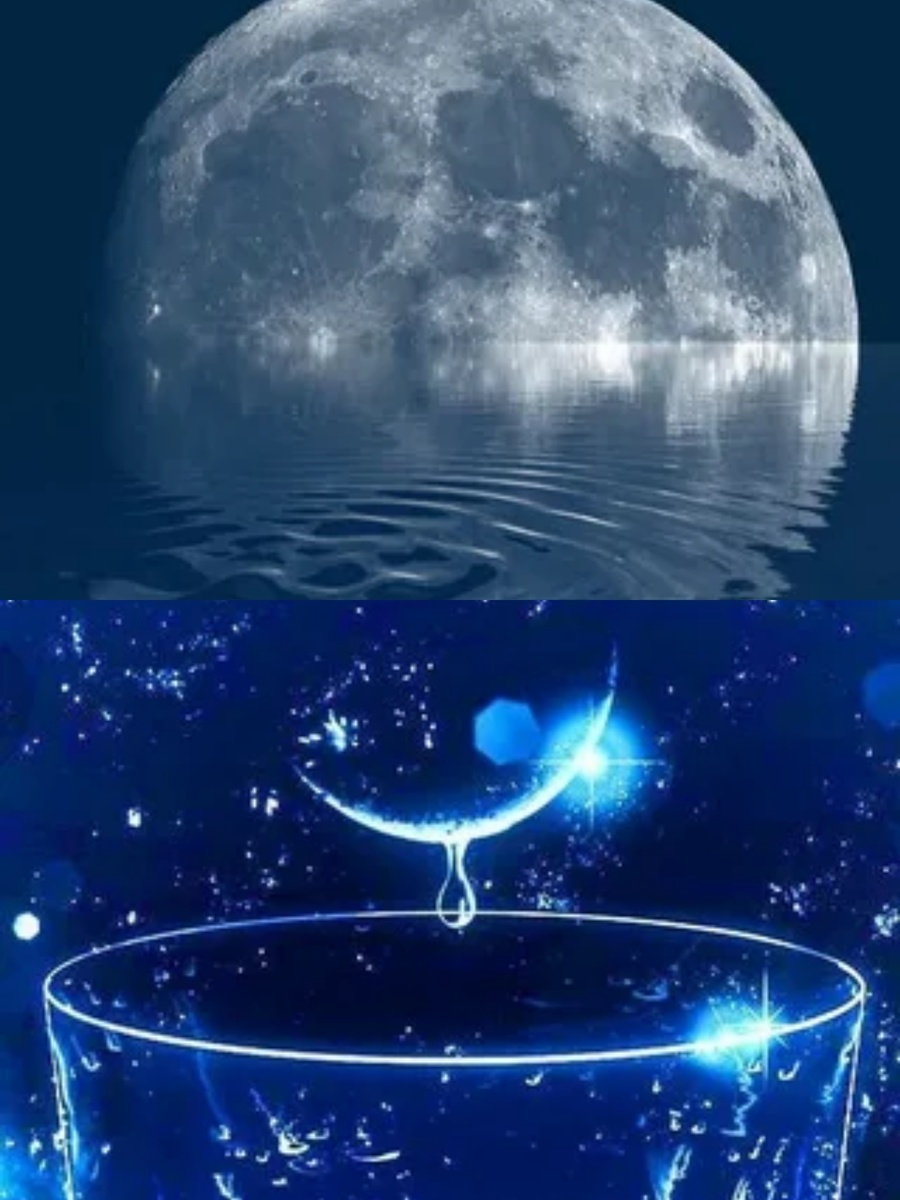 Фотоколлаж автора статьи 