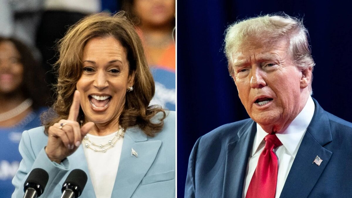 Фото из открытых источников интернета