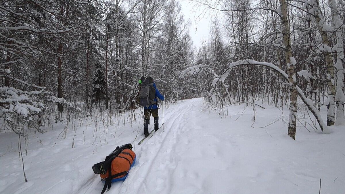 Морозец, лыжи едут отлично, идти в целом не тяжело)