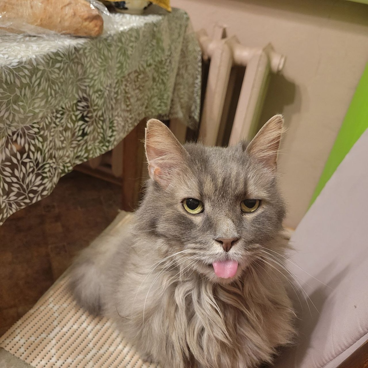 Дыма и его язык)